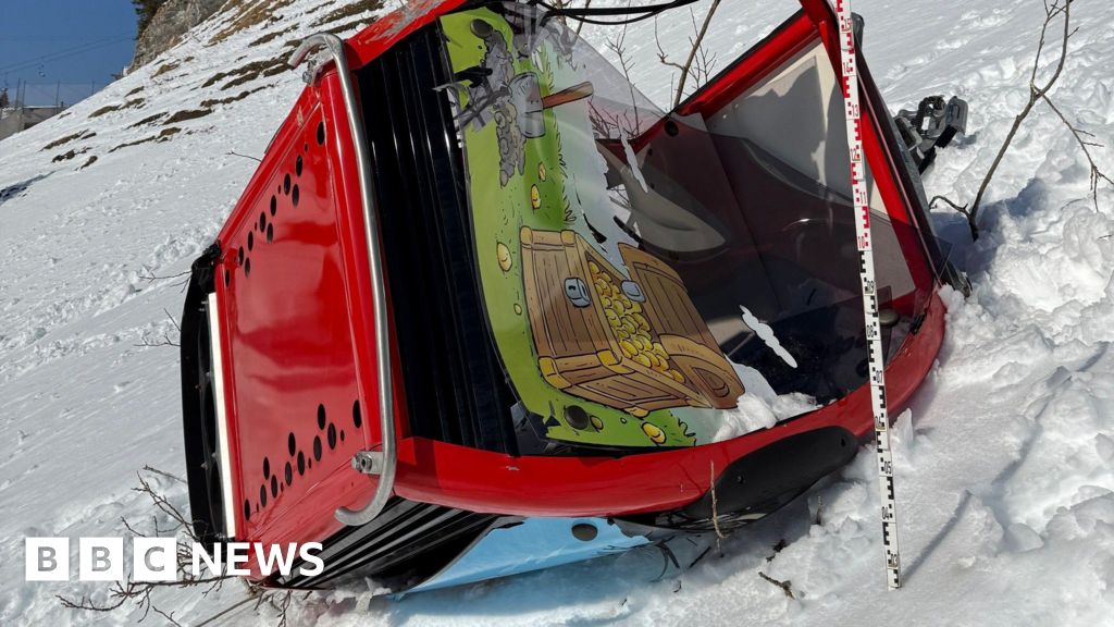 Deadly Ski Lift Accident in Austria: Tree Caused Gondola Fall
